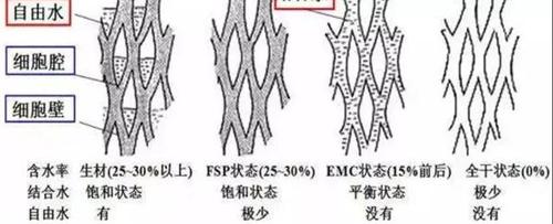 木材干燥新技术层出不穷,传统窑干仍是尚佳之选！-1