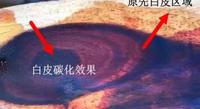 红木碳化,白皮也能变心材